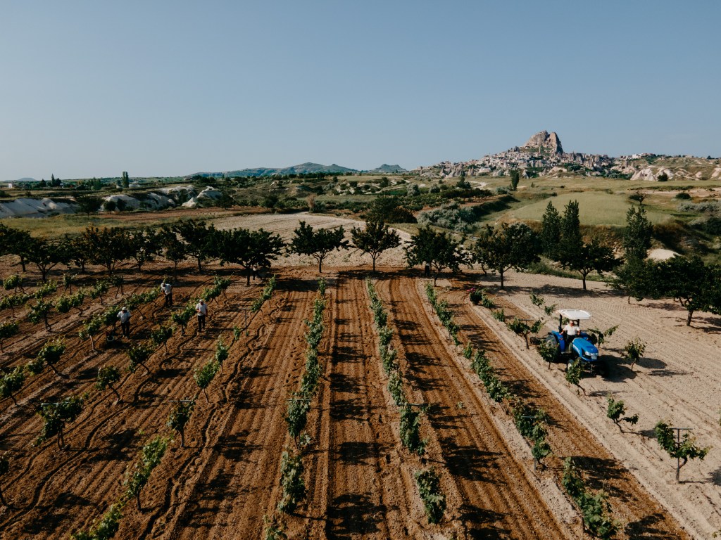 Jardins biologiques du Museum Hotel Cappadoce utilisés pour le restaurant Lil’a