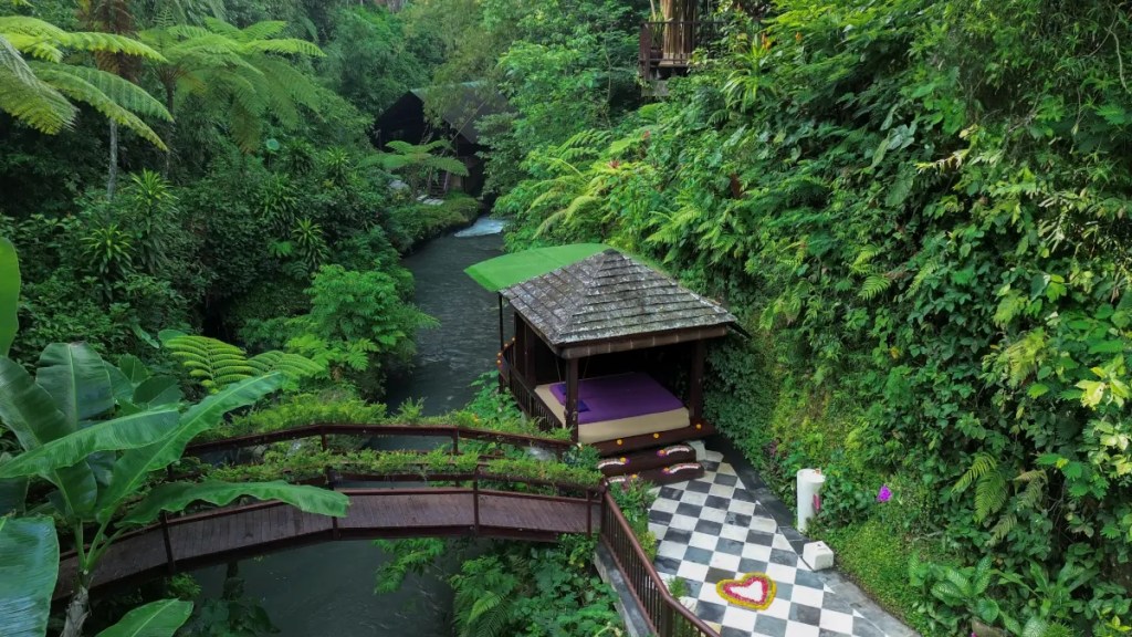 Pont sur la riviere Ayung Ubud Bali - Hanging gardens of Bali